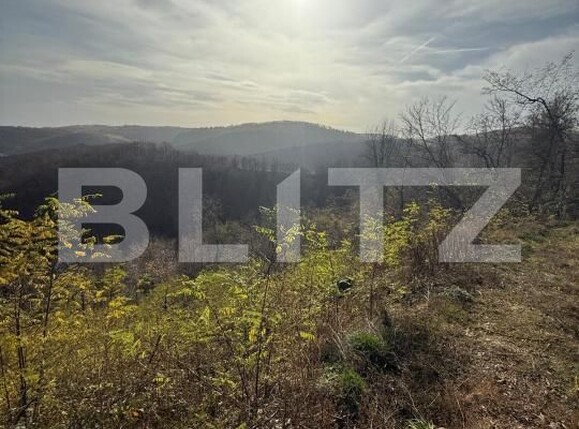 Teren de vânzare Cerbal - 182353TV | BLITZ Deva | Poza1