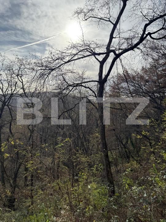 Teren de vânzare Cerbal - 182353TV | BLITZ Deva | Poza3