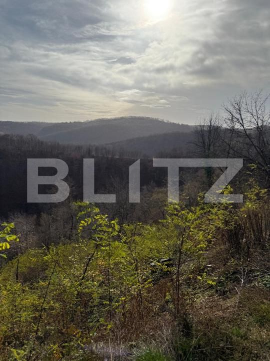 Teren de vânzare Cerbal - 182353TV | BLITZ Deva | Poza2