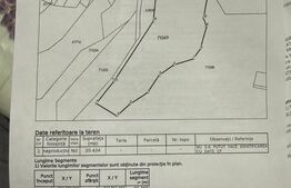 Teren extravilan impadurit, 20424 mp ideal pentru investitie 