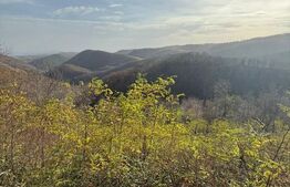 Teren extravilan impadurit, 20424 mp ideal pentru investitie 