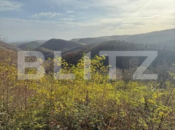 Teren de vânzare Cerbal - 182354TV | BLITZ Deva | Poza1