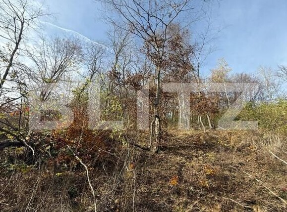 Teren de vânzare Cerbal - 182354TV | BLITZ Deva | Poza3