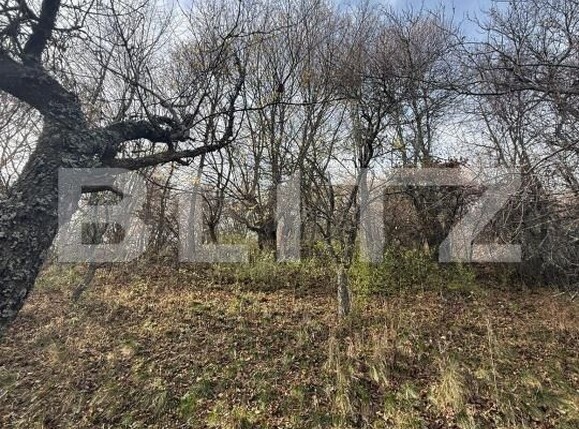 Teren de vânzare Cerbal - 182354TV | BLITZ Deva | Poza2