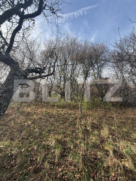 Teren de vânzare Cerbal - 182354TV | BLITZ Deva | Poza2