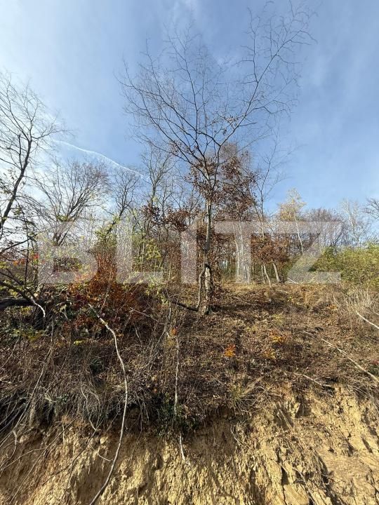 Teren de vânzare Cerbal - 182354TV | BLITZ Deva | Poza3