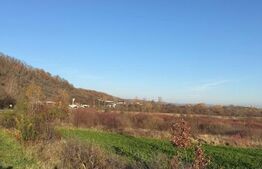 Teren de vanzare, Extravilan in Gurasada, 18532 MP