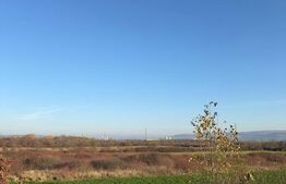 Teren de vanzare, Extravilan in Gurasada, 18532 MP