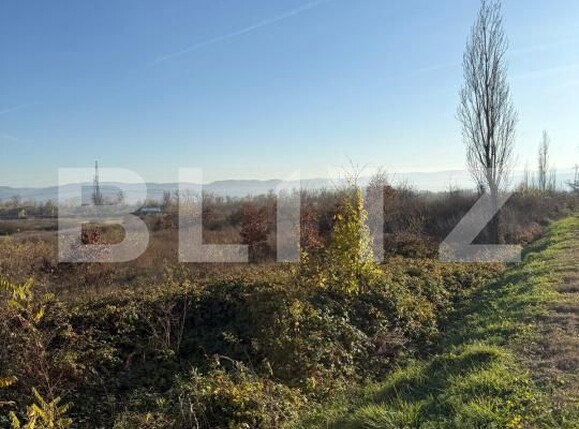 Teren de vânzare Gurasada - 182805TV | BLITZ Deva | Poza8