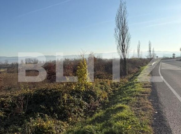 Teren de vânzare Gurasada - 182805TV | BLITZ Deva | Poza7