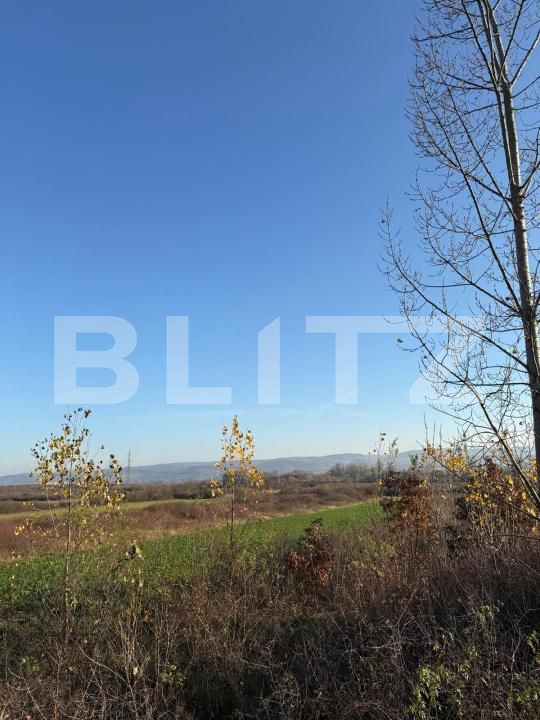 Teren de vânzare Gurasada - 182805TV | BLITZ Deva | Poza4