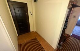 Apartament 3 camere, parter înalt, ideal firma/birouri - DEVA, ZARANDULUI