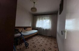 Apartament 3 camere, parter înalt, ideal firma/birouri - DEVA, ZARANDULUI