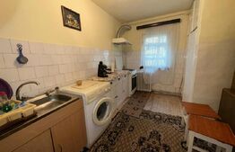 Apartament 3 camere, parter înalt, ideal firma/birouri - DEVA, ZARANDULUI