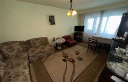 Apartament 3 camere, parter înalt, ideal firma/birouri - DEVA, ZARANDULUI