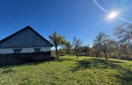 Teren extravilan 2000mp in Târsa