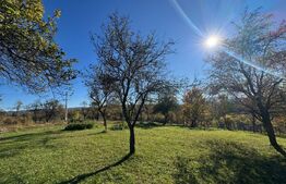 Teren extravilan 2000mp in Târsa