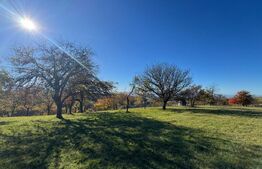 Teren extravilan 2000mp in Târsa