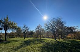 Teren extravilan 2000mp in Târsa