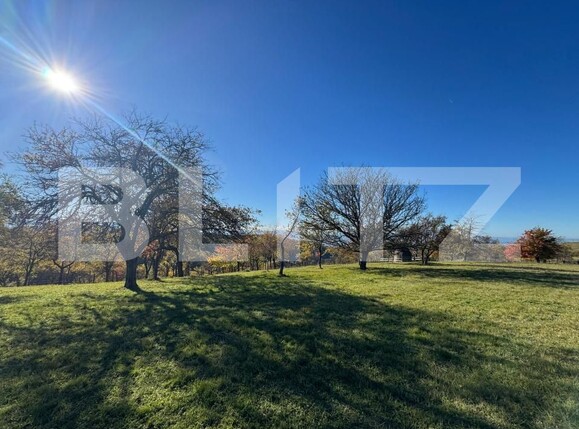 Teren de vânzare Orastie - 182957TV | BLITZ Deva | Poza3