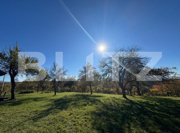 Teren de vânzare Orastie - 182957TV | BLITZ Deva | Poza2