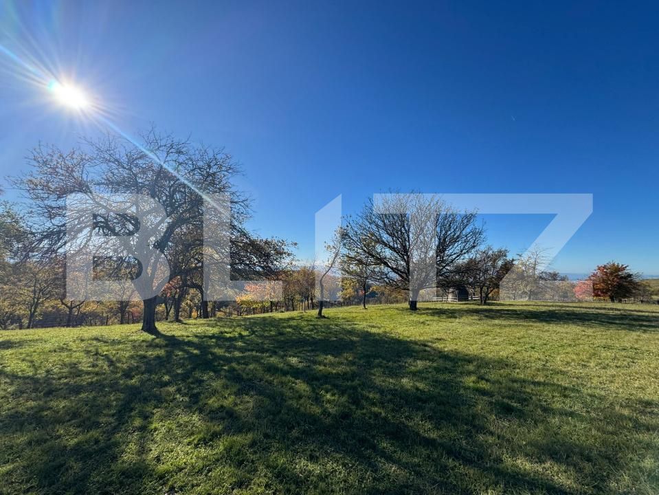 Teren de vânzare Orastie - 182957TV | BLITZ Deva | Poza3