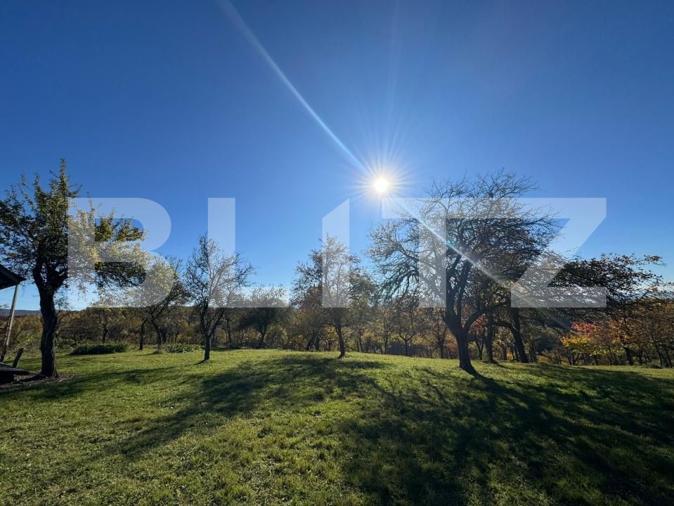 Teren de vânzare Orastie - 182957TV | BLITZ Deva | Poza2