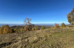 Teren extravilan 6.360 mp in Târsa