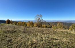 Teren extravilan 6.360 mp in Târsa