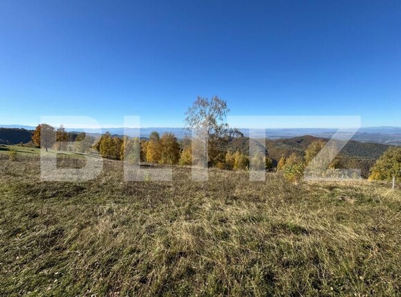 Teren de vânzare Orastie - 182958TV | BLITZ Deva | Poza3