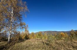 Teren extravilan de  17.183 mp in Târsa