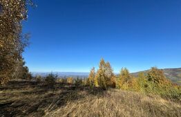 Teren extravilan de  17.183 mp in Târsa