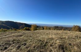 Teren extravilan 54.722 mp in Târsa