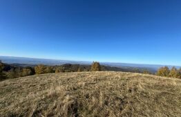 Teren extravilan 54.722 mp in Târsa