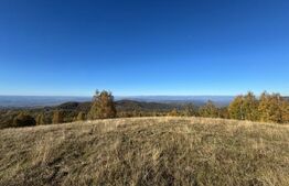 Teren extravilan 54.722 mp in Târsa