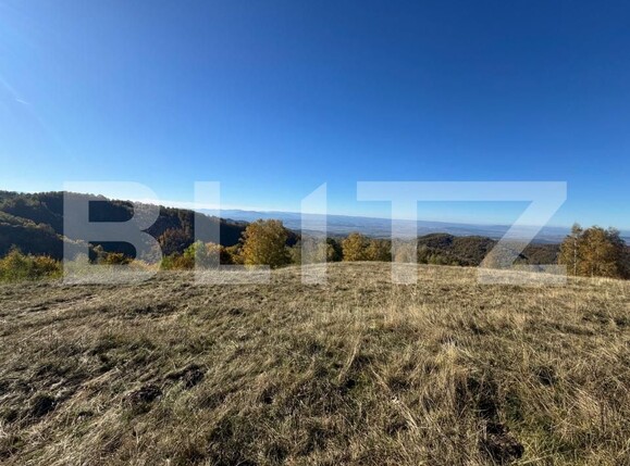 Teren de vânzare Orastie - 182962TV | BLITZ Deva | Poza1