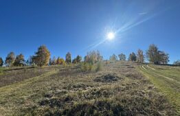 Teren extravilan  9.575 mp