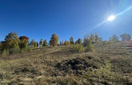 Teren de vânzare Gurasada - 182805TV | BLITZ Deva | Poza1