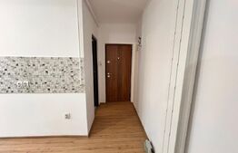Apartament 2 camere langa pietonala,renovat complet