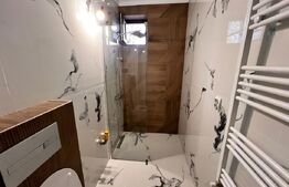 Apartament 2 camere langa pietonala,renovat complet