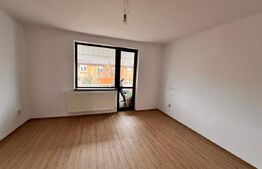 Apartament 2 camere langa pietonala,renovat complet