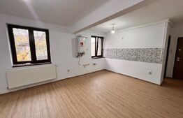 Apartament 2 camere langa pietonala,renovat complet