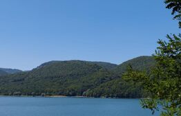 Teren extravilan împădurit, 20.720 mp – zona Lacului Cinciș