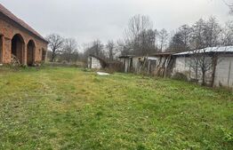 Casa cu 2 camere in Densus, 20 km de Manastirea Prinslop