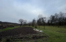 Casa cu 2 camere in Densus, 20 km de Manastirea Prinslop