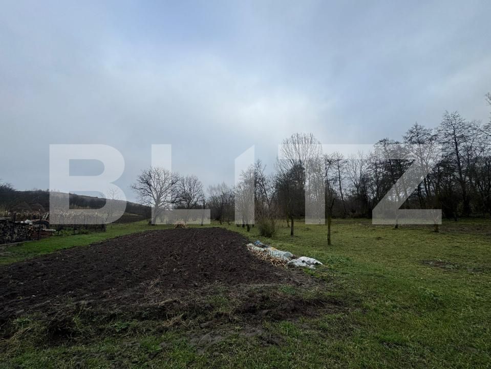 Casa de vânzare 2 camere Hunedoara - 183611CV | BLITZ Deva | Poza9