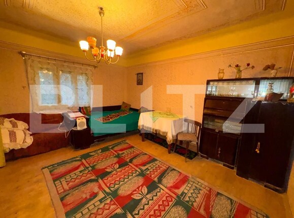 Casa de vânzare 3 camere Brad - 183616CV | BLITZ Deva | Poza4