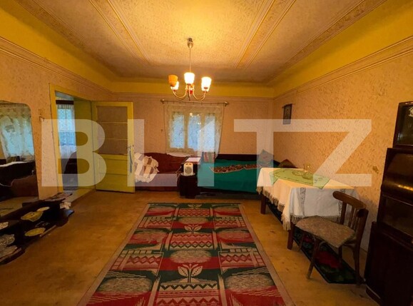 Casa de vânzare 3 camere Brad - 183616CV | BLITZ Deva | Poza5