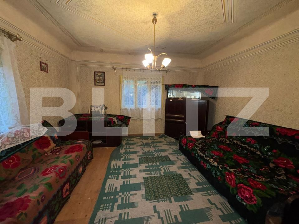 Casa de vânzare 3 camere Brad - 183616CV | BLITZ Deva | Poza2
