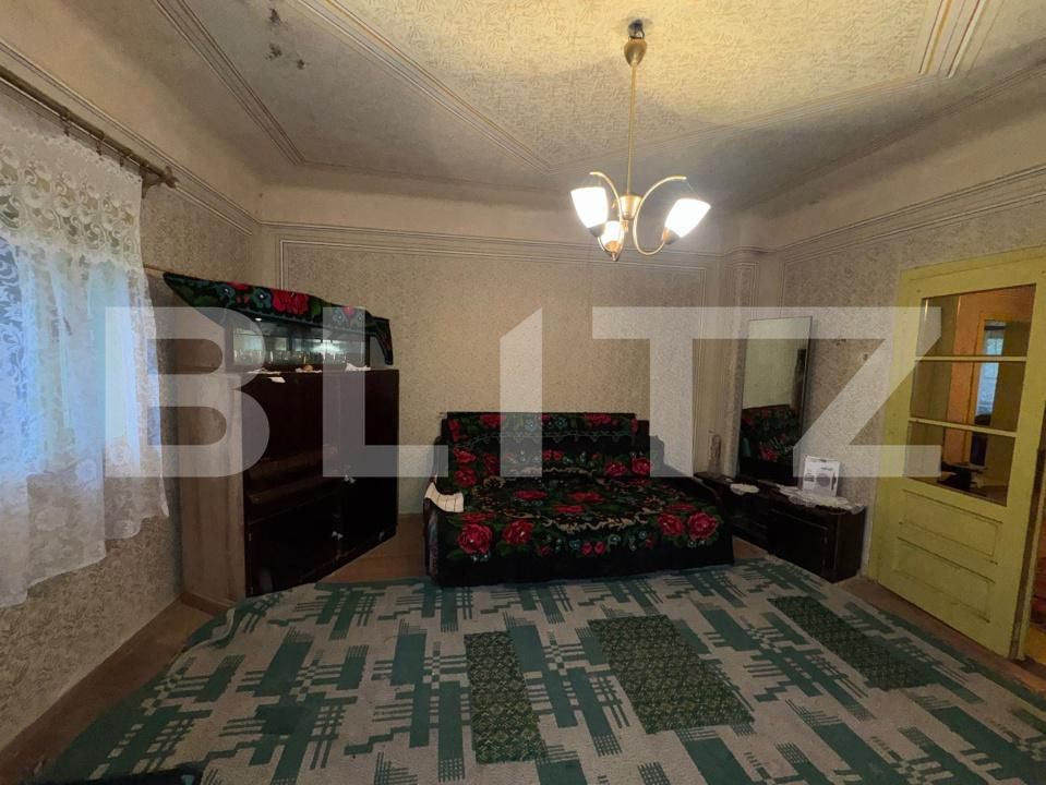 Casa de vânzare 3 camere Brad - 183616CV | BLITZ Deva | Poza3